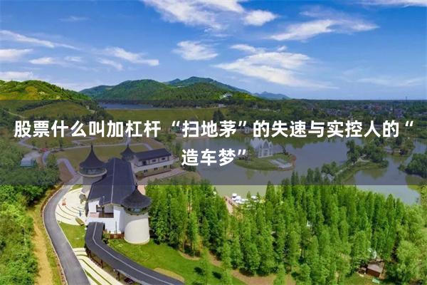 股票什么叫加杠杆 “扫地茅”的失速与实控人的“造车梦”